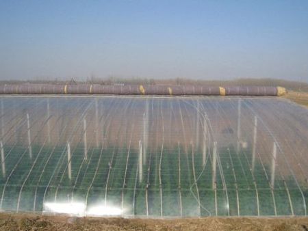 A New type Agricultural Anti Dripping Film based on Fluorine Carbon surfactant Technology 
